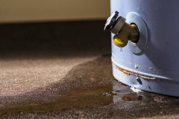 Best Emergency water damage restoration  in Rohnert Park, CA