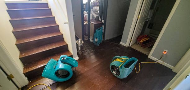 Best Water damage contractors near me  in Rohnert Park, CA