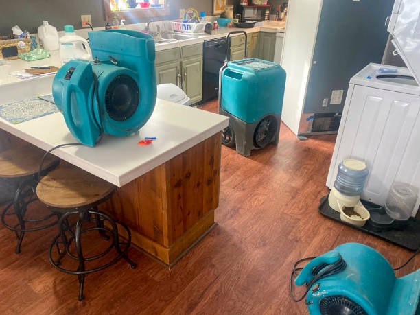Best Basement water damage restoration  in Rohnert Park, CA