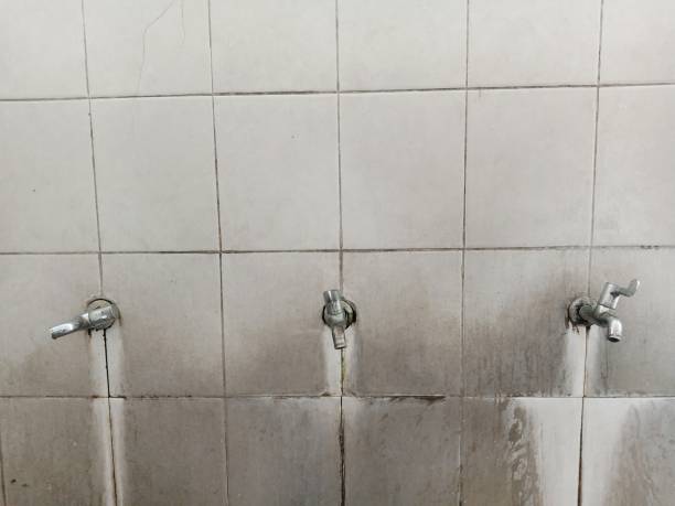 Best 24/7 water damage repair  in Rohnert Park, CA