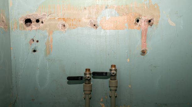 Best Fire Damage Restoration  in Rohnert Park, CA