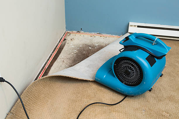 Best Emergency water damage restoration  in Rohnert Park, CA